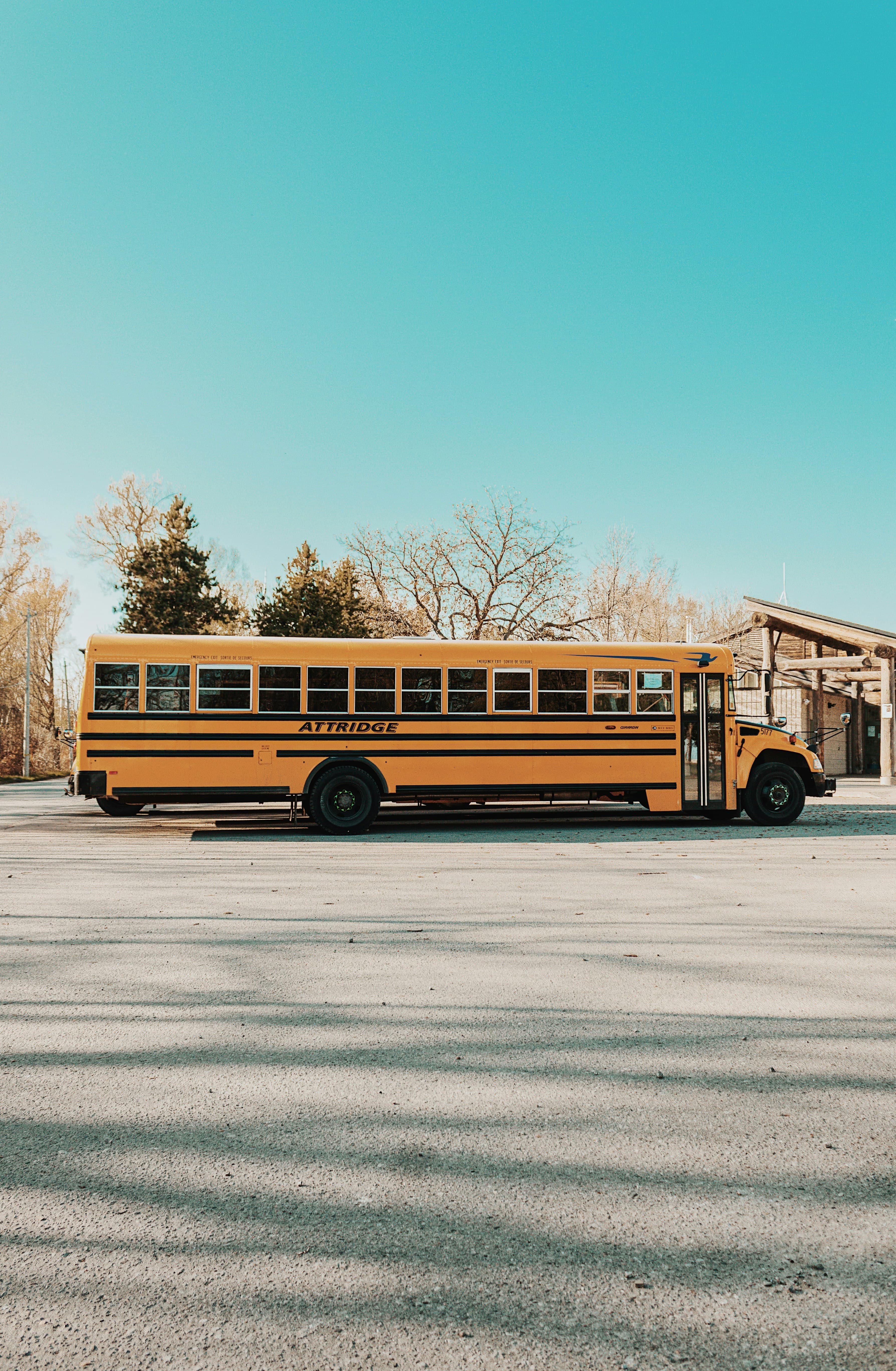 School bus parked in a lot